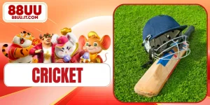 Cricket - Rules For The Exciting Tactical Betting Game